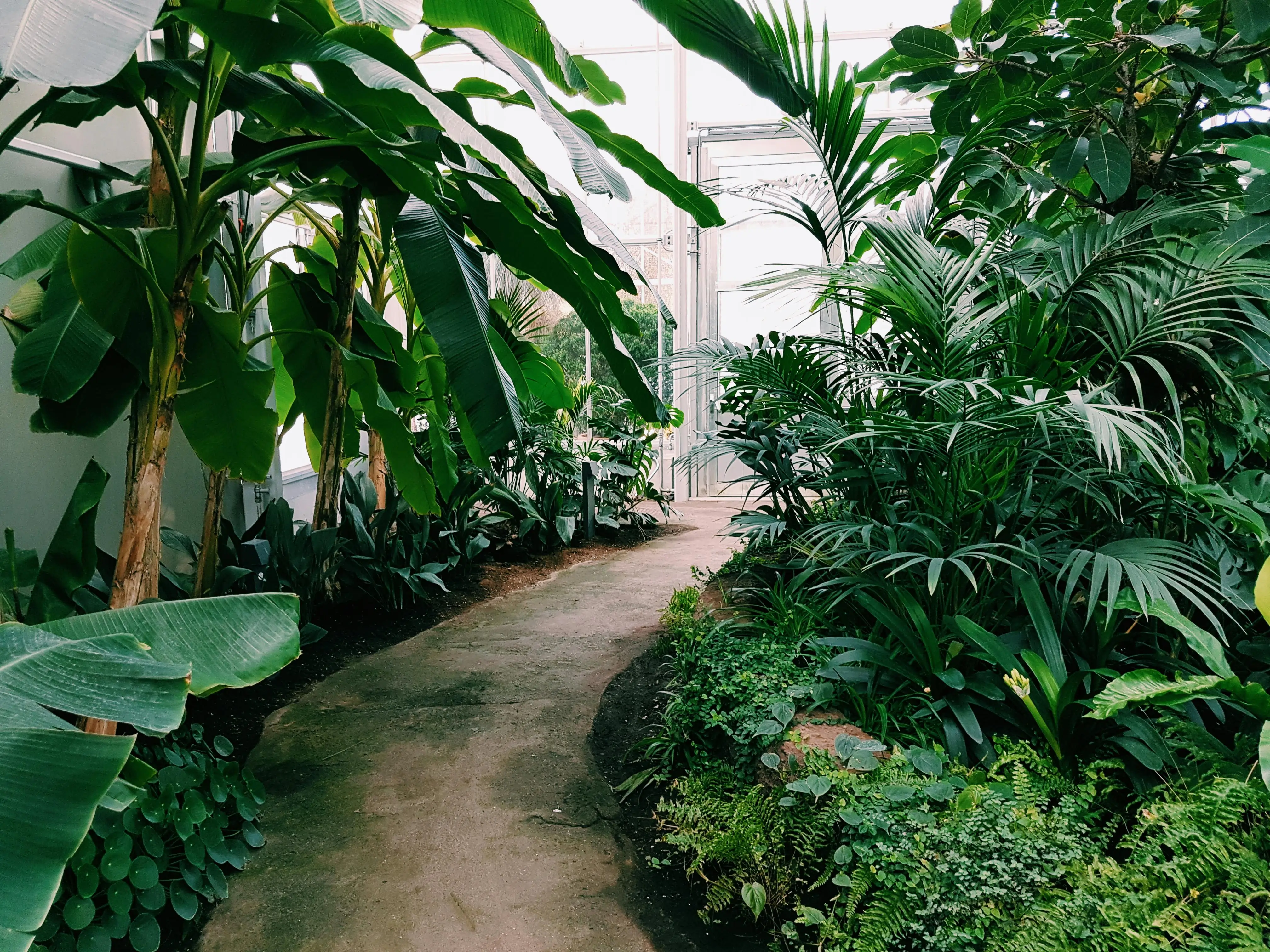 Horticulture Maintenance